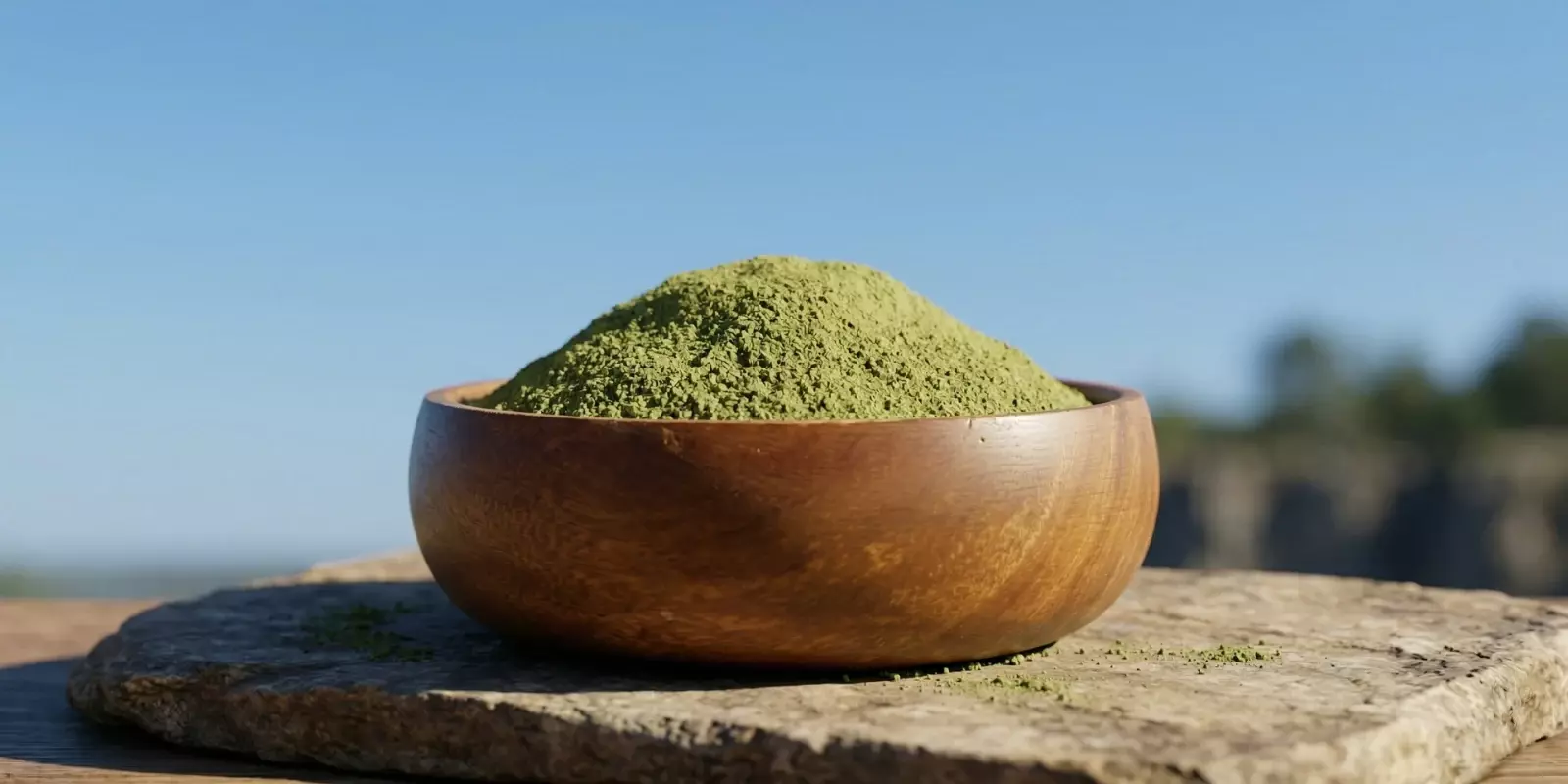 Everything to Know About Green Dragon Kratom 
